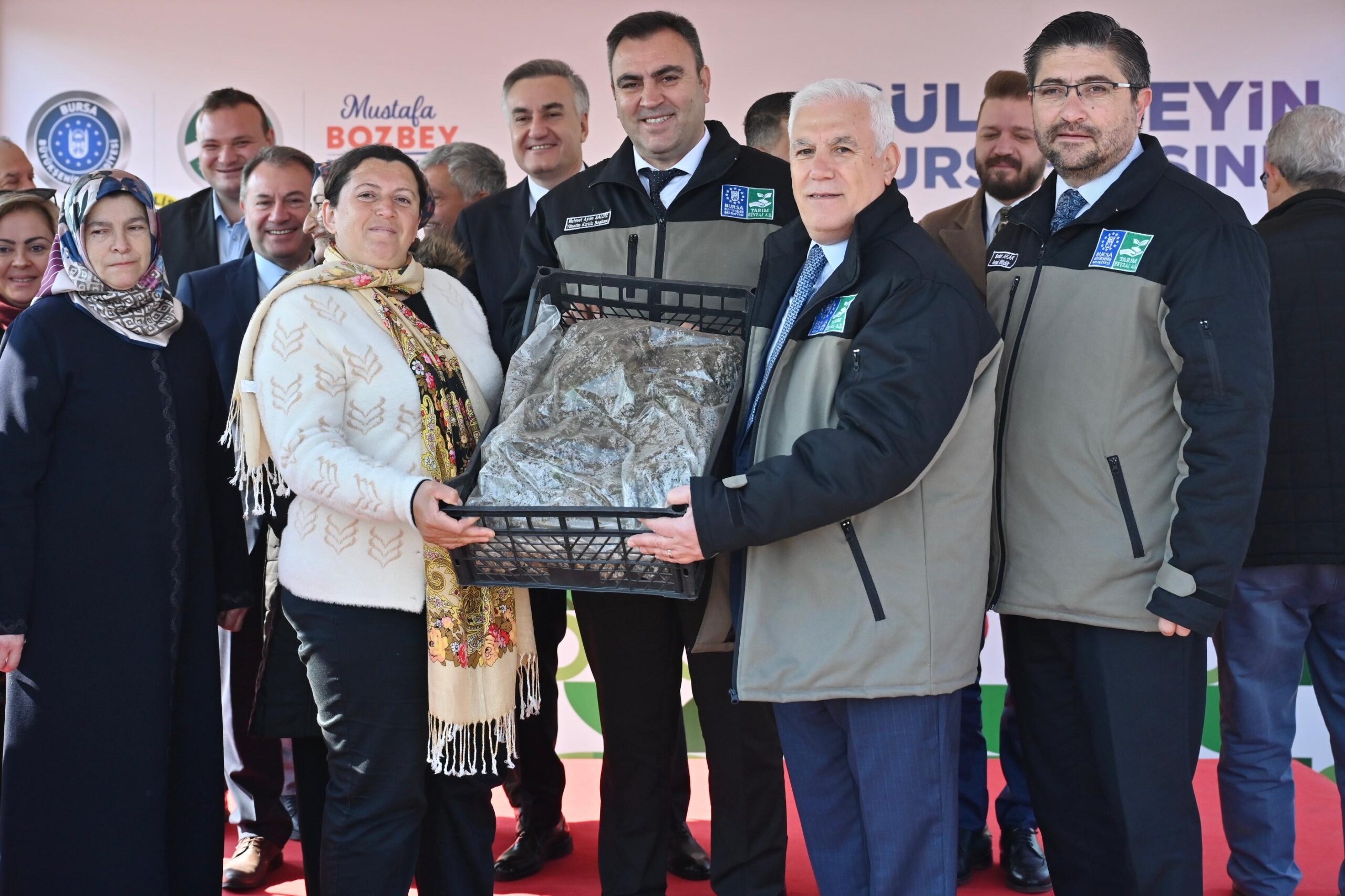 Bursa Büyükşehir Belediyesi’nden çiftçiye 1 milyon 222 bin adet çilek fidesi