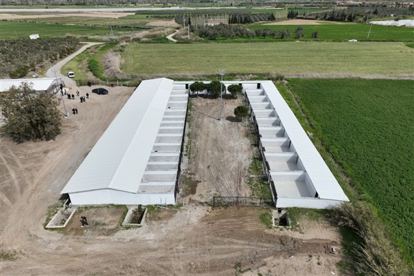 Edremit’te Sokak Hayvanları için Rehabilitasyon Merkezi açılıyor