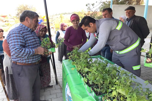 Pamukkale’de  yerli fide dağıtımı gerçekleştirildi