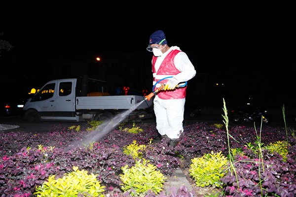 Düzce Belediyesi’nden bahar ilaçlaması