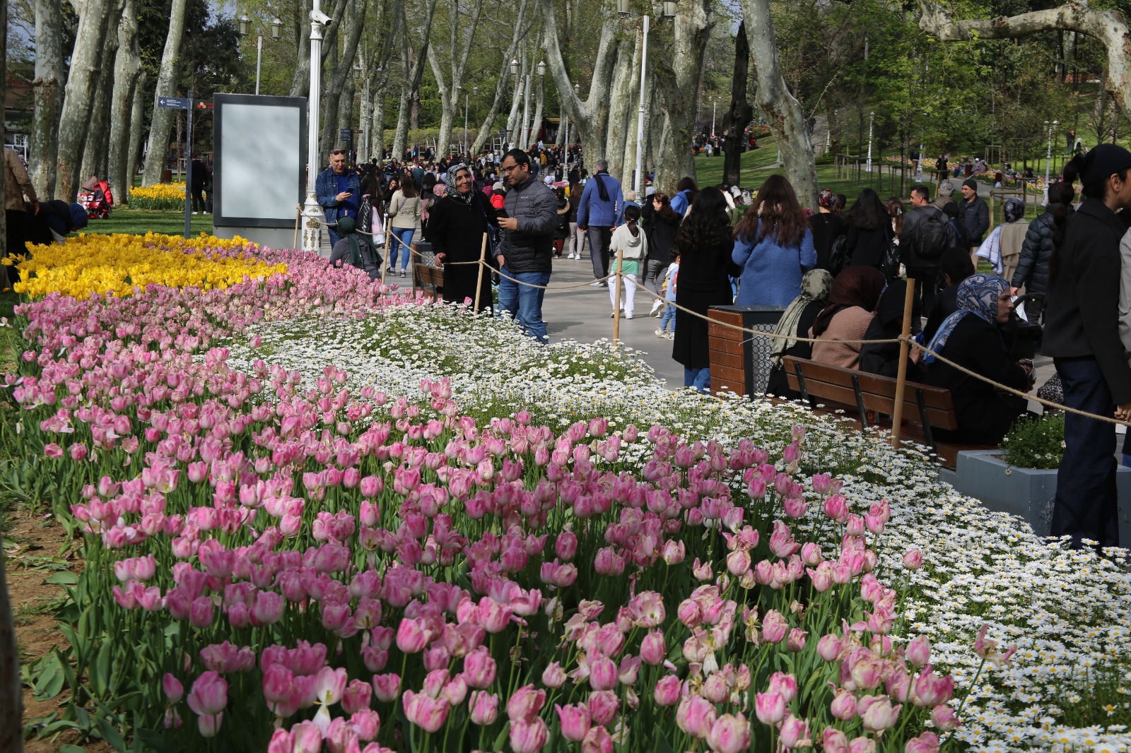 İstanbul Büyükşehir Belediyesi’nden Lale Bayramı
