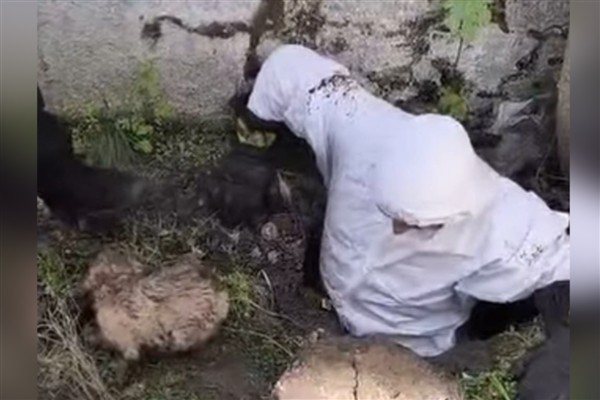 Diyarbakır’da kanala düşen yavru köpek itfaiye ekiplerince kurtarıldı