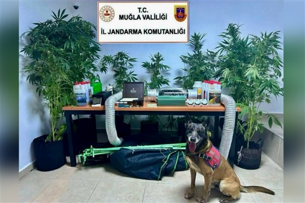 Bodrum’da uyuşturucu operasyonu