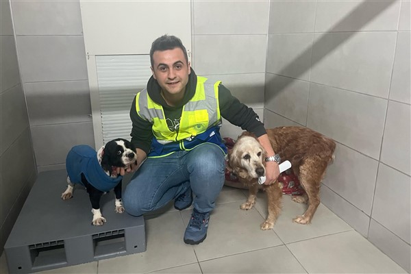 Bursa’da hayvan bakım ve rehabilitasyon merkezleri hizmetlerini sürdürüyor