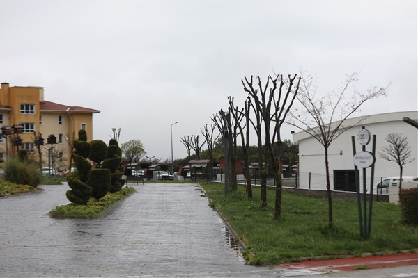 Muğla Büyükşehir’den ağaçlara gençlik aşısı