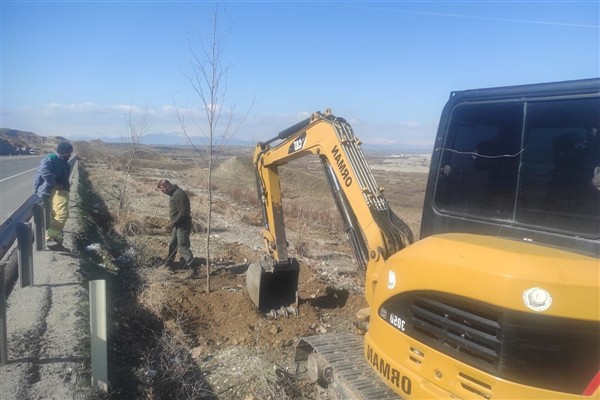 Batman’da “Yeşil Kuşak Ağaçlandırma” çalışmalarına devam ediliyor