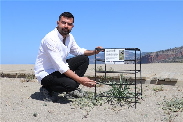 Başkan Yılmaz: Kum zambaklarını birlikte koruyalım