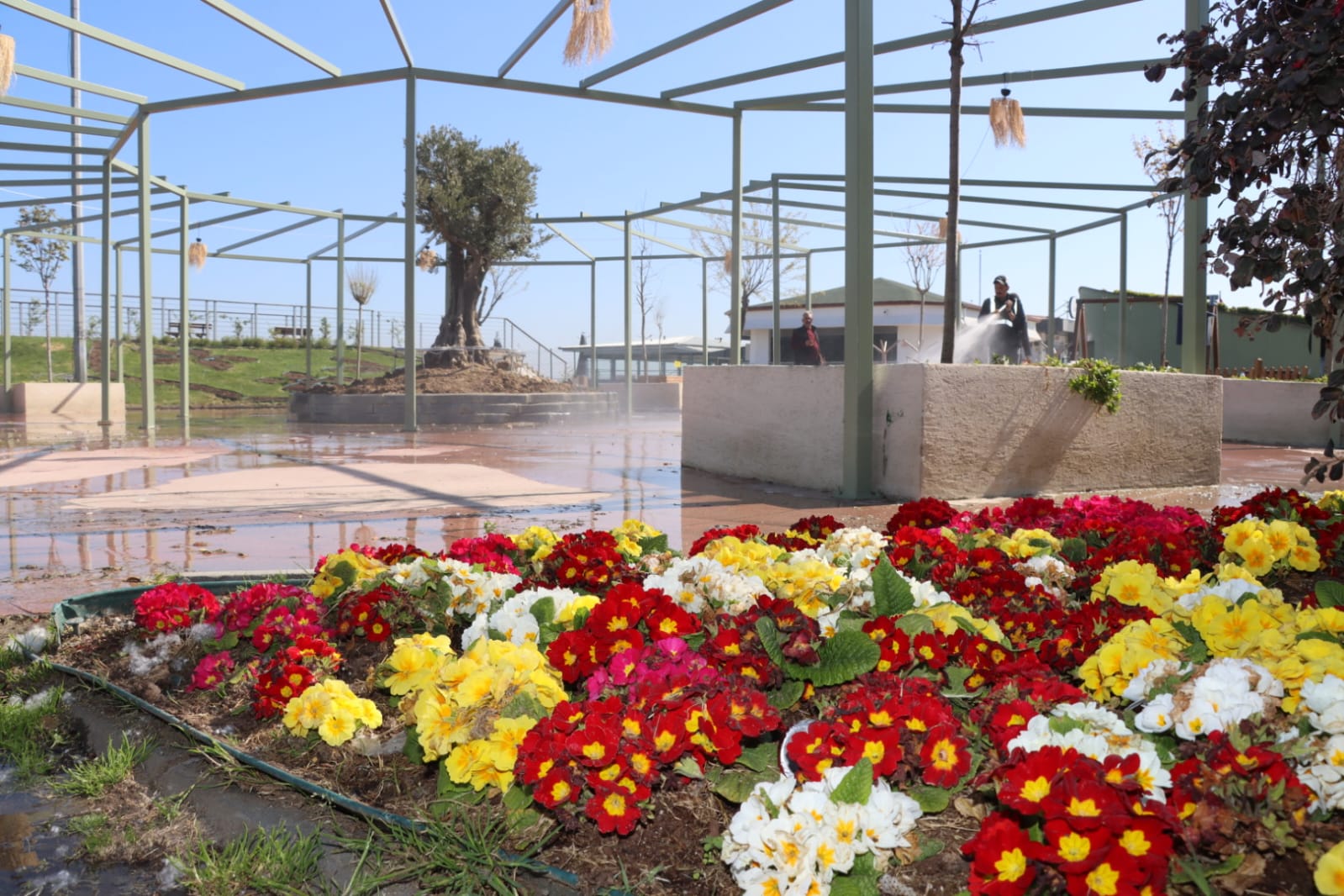 Yalova Belediyesi, Çiçek Kafe’yi yeni sezona hazırlıyor