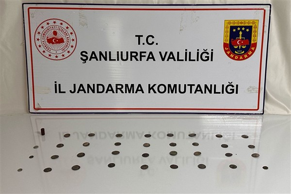 Siverek’te tarihi eser operasyonu