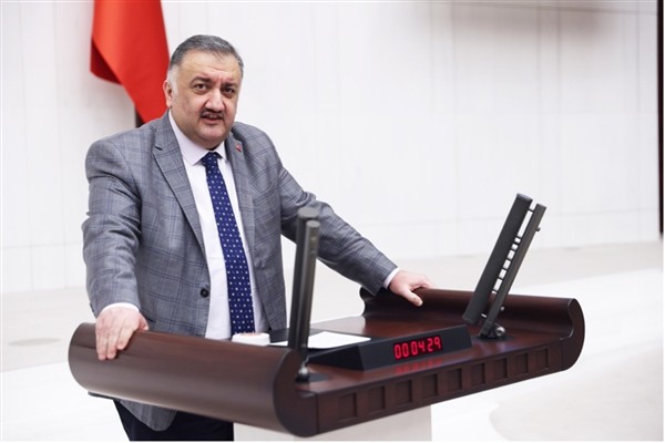 Karal: Güçlü bir devlet, ancak gücünü hukuktan alan bir güvenlik teşkilatıyla mümkündür