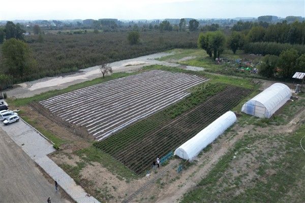 Düzce’de Tarım Akademisi öğrencilere yönelik sahada deneyim kazandırmayı hedefliyor