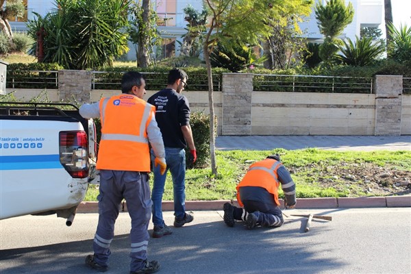 Büyükşehirden Kemer’de peyzaj çalışması