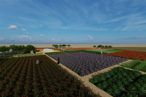 Tıbbi ve aromatik bahçede çalışmalar başladı
