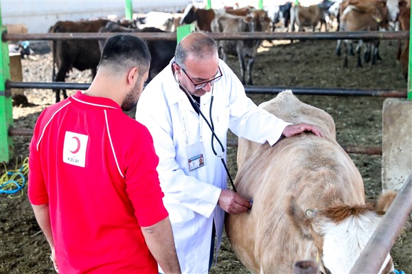 Kızılay’ın 2025 kurban vekalet bedelleri belli oldu