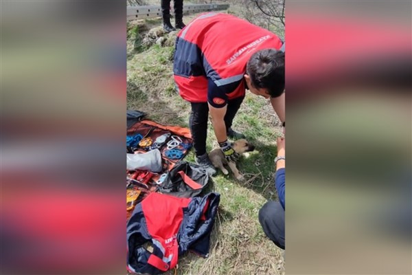 Kayseri İtfaiyesi kuyuya düşen köpeği kurtardı