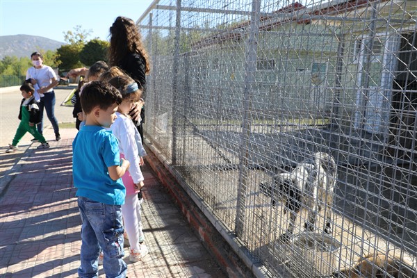 Muğla Geçici Hayvan Bakımevi, 3 bin 596 sokak hayvanını sahiplendirdi