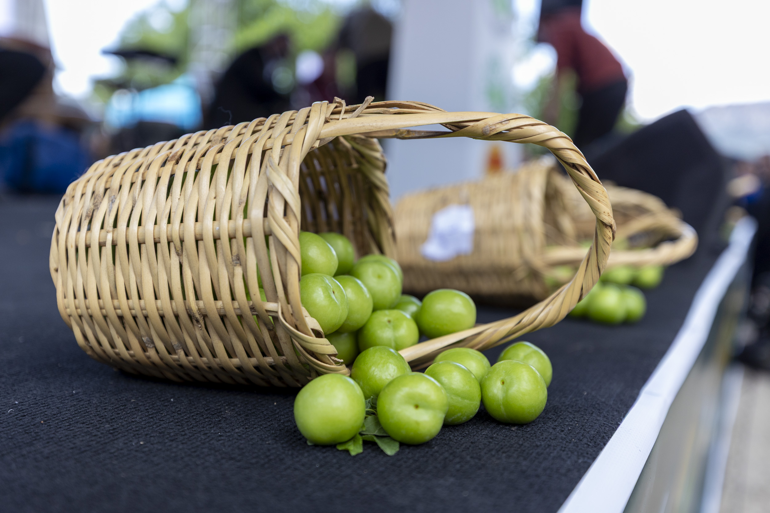 Mersin’de ‘15. Gezende Erik Festivali’ düzenlendi