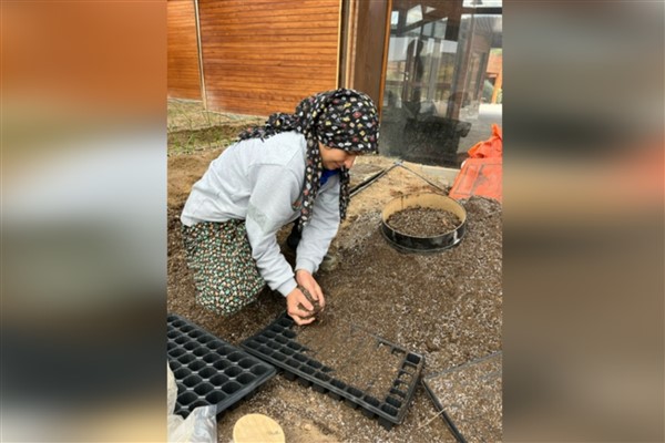 Mamak Ekolojik Köy’de fide ekimi başladı