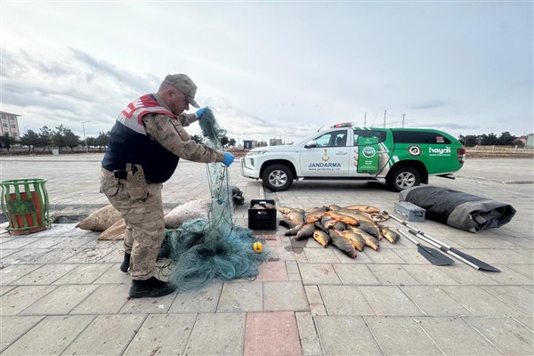 Şanlıurfa’da  kaçak balık avcılığını önlemeye yönelik denetimler sürdürülüyor