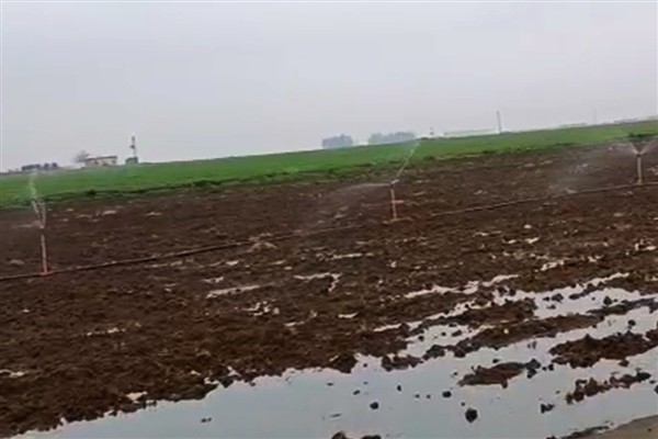Kaçak elektrikle sulama, yağmurda bile devam etti