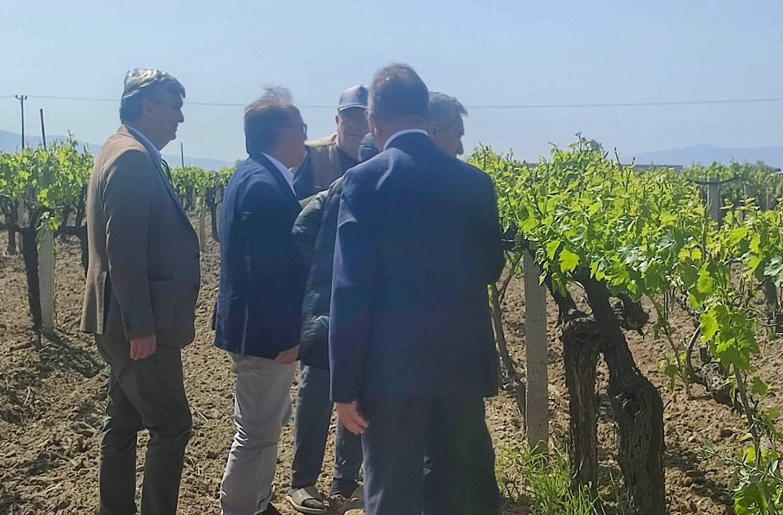 Manisa Büyükşehir Belediyesi, don zararına uğrayan üreticilere destek oluyor