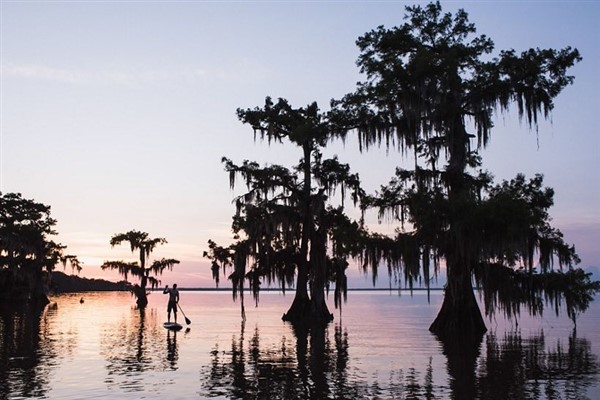 Amerikan Chevron, sulak alanlarını yok ettiği için 744 milyon dolar tazminat ödeyecek
