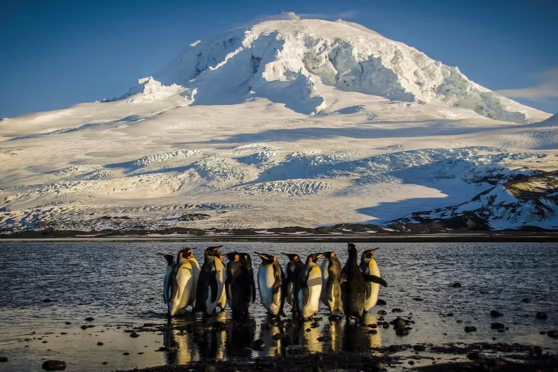 Trump’ın gümrük vergilerinden Antartika’daki penguenlerin yaşadığı ada da nasibini aldı