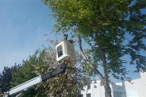 Çerçioğlu: Güzel Aydınımız için hayata geçirdiğimiz çalışmalarımızı sürdürüyoruz