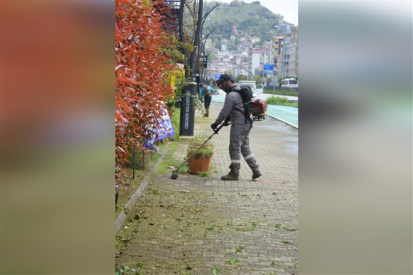 Giresun’da yeşil alanlarda bakım ve temizlik çalışması