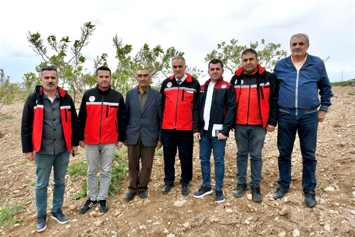 Binatlı Köyünde fıstık bahçesinde saha kontrolleri yapıldı