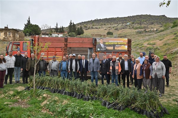 Manisa Büyükşehir, 66 bin 580 adet zeytin ve ceviz fidanı dağıttı