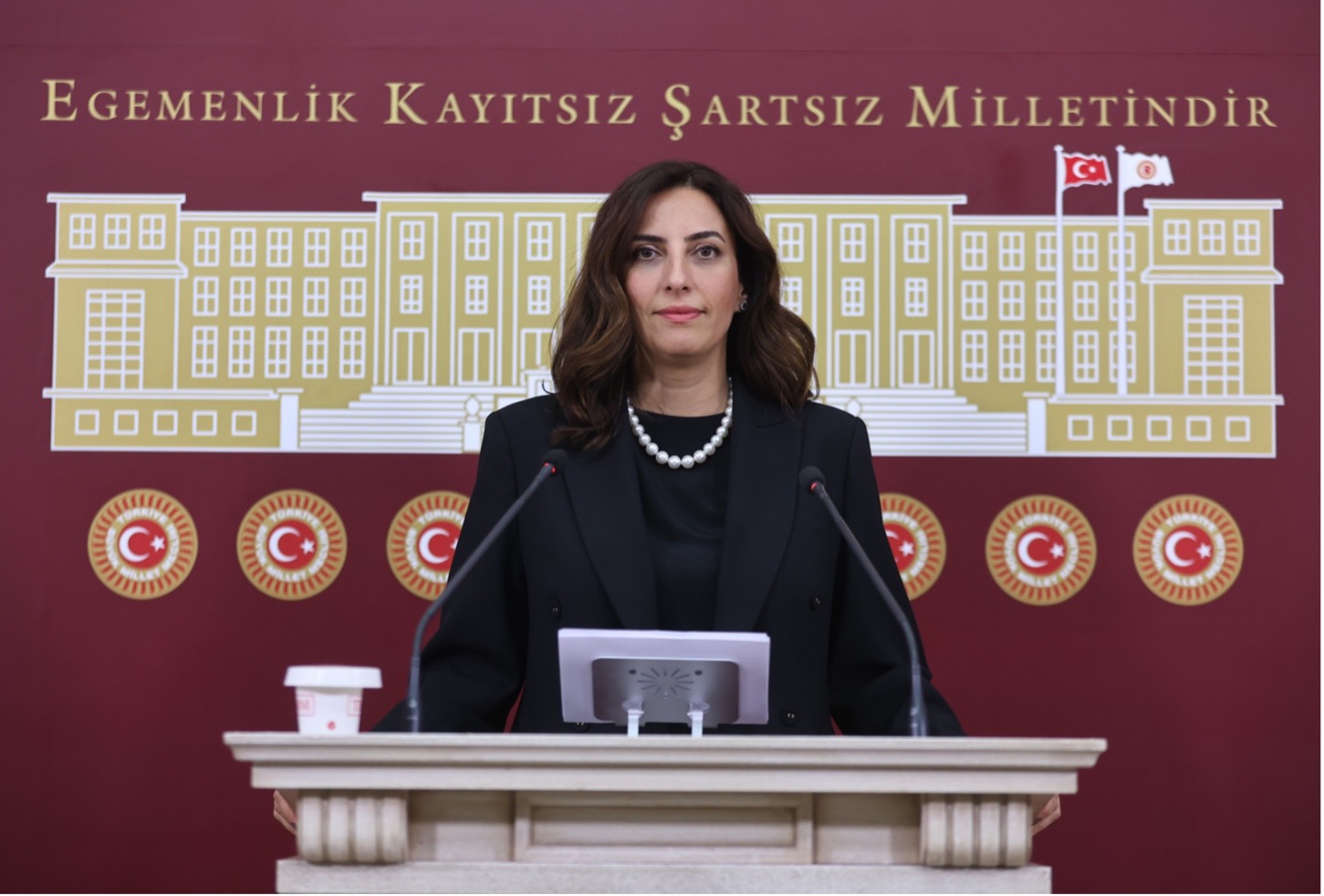 DEVA Partili İstanbul Milletvekili Rızvanoğlu’ndan orman yangınlarına tepki