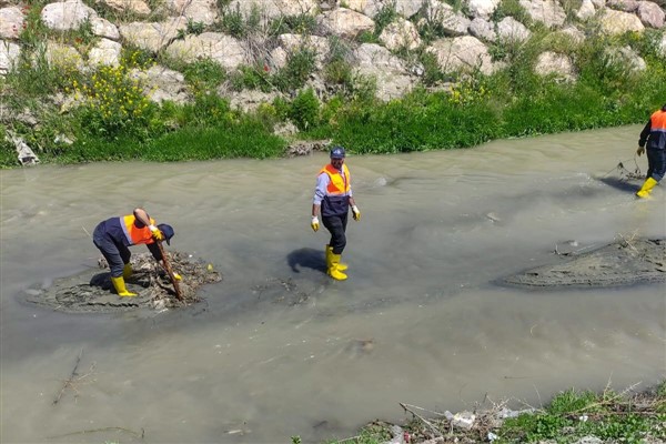 Van’da İnci Kefali’nin göç güzergahındaki dereler temizlendi