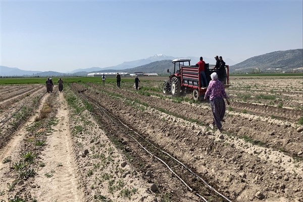 Sparga1 Tarım A.Ş. Türkiye’de kuşkonmaz üretiminde yeni bir dönem başlatıyor