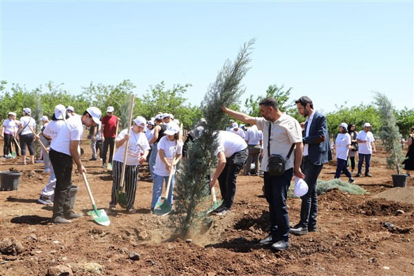 Diyarbakır’da 135 mavi servi fidanı toprakla buluştu