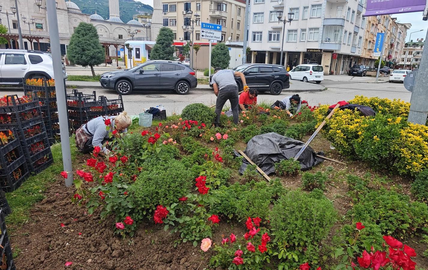 Ordu Büyükşehir Belediyesi, yazlık çiçek dikimi gerçekleştirdi