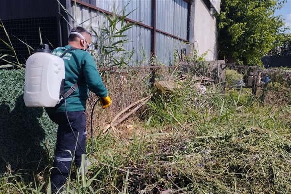 Bursa’da haşerelerle mücadele çalışmaları sürüyor