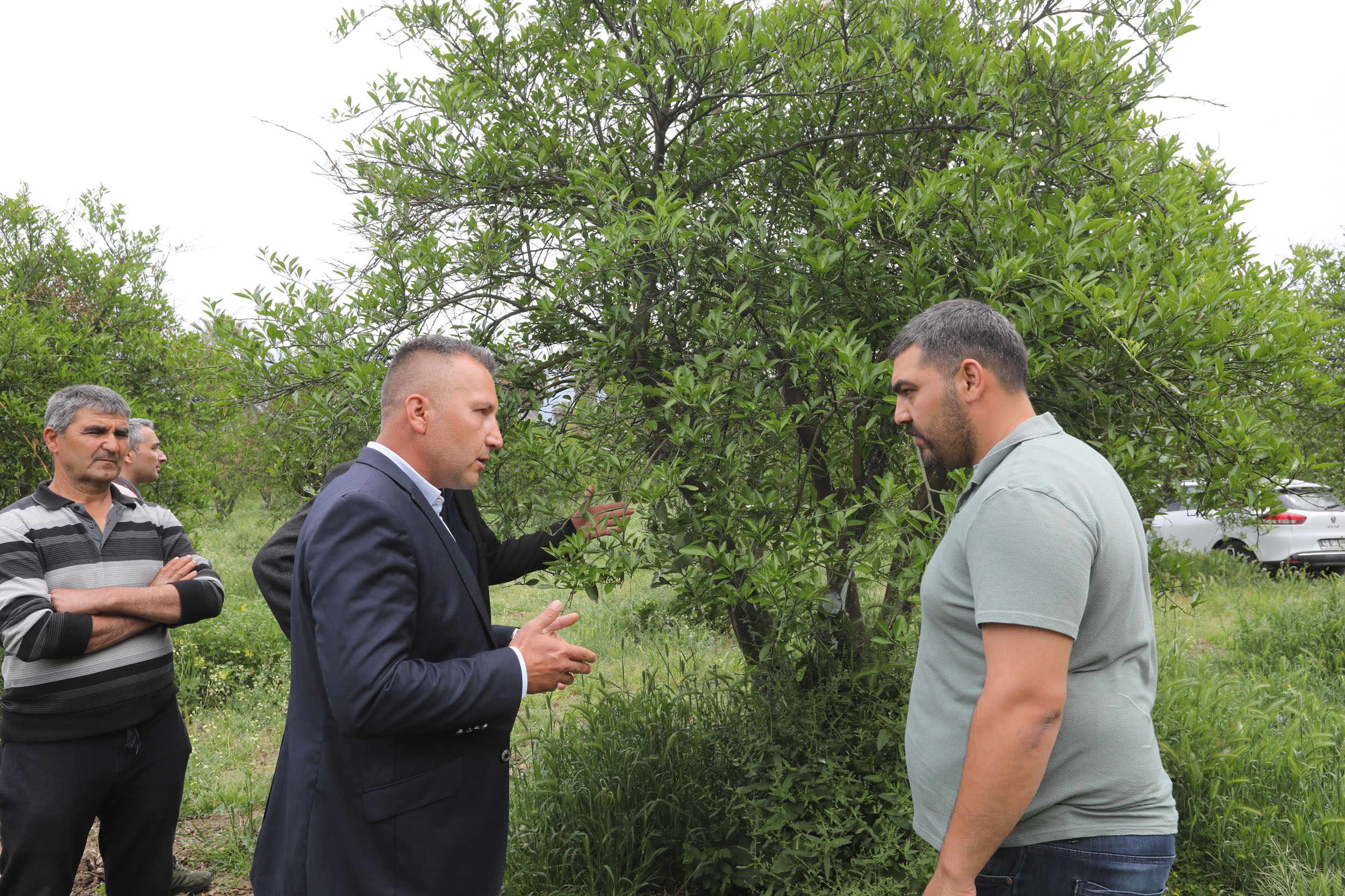 Muğla Büyükşehir Belediyesi’nden üreticiye zirai don eğitimi