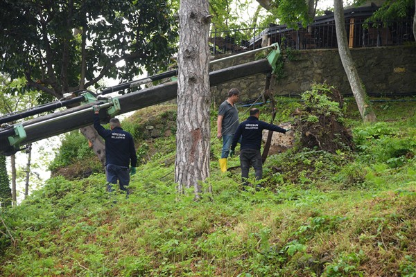 Giresun’da görüntü kirliliğine neden olan ağaç kökleri söküldü