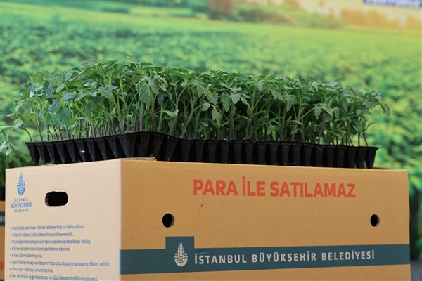 Yazlık fide dağıtımını, Silivri Değirmenköy’de başladı