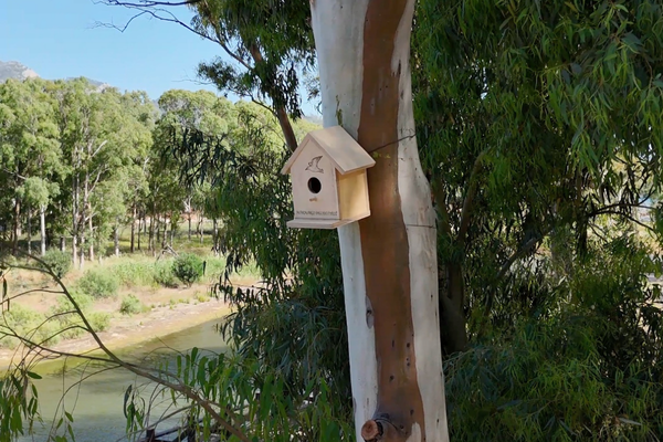Marmaris Belediyesi’nden kuş evi projesi