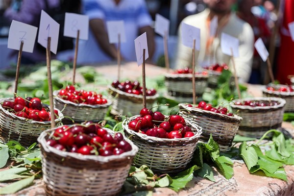 Başkan Görkem Duman’dan Kiraz Festivali’ne davet