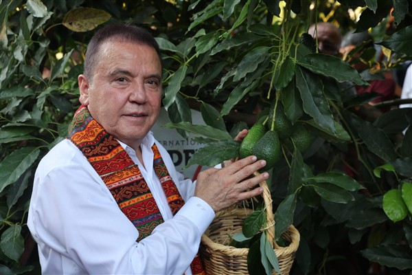 Başkan Böcek’ten avokado ve mango hasadı