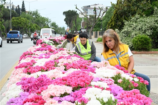 Aydın’da peyzaj çalışmaları