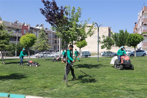 Haliliye’de parkları yaz mevsimine hazırlıyor