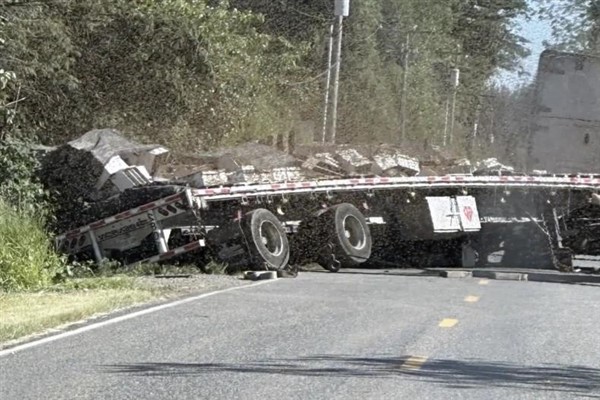 ABD’de bir kamyonun devrilmesi sonucu 250 milyon bal arısı kaçtı