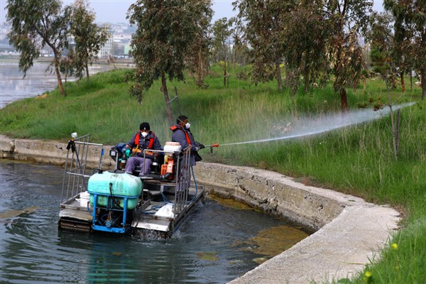İstanbul’da sivrisinekle mücadelede önlemler artırıldı