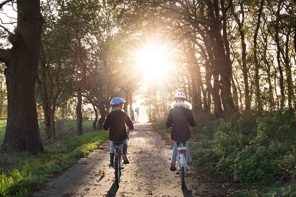 DSÖ: Her yıl yaklaşık 1,2 milyon insan yollarda ölüyor