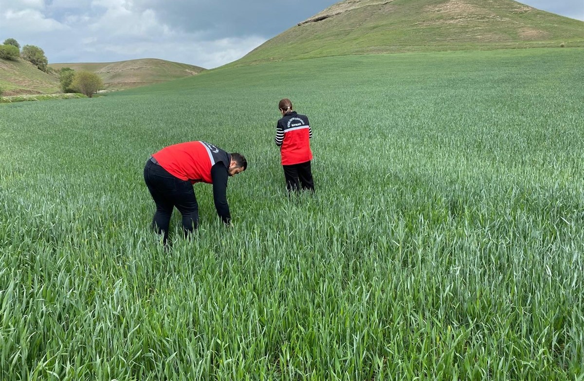 Batman Valiliği, süne mücadelesi çalışmalarına başladı