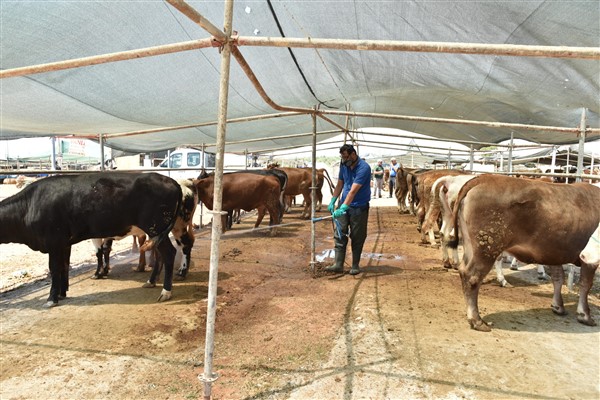 Kepez’de kurban pazarı 2 noktada hizmette